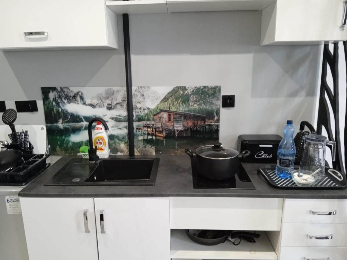 Komfortowy Apartament U Baltazara ดุสนิกิ สดรอย ภายนอก รูปภาพ