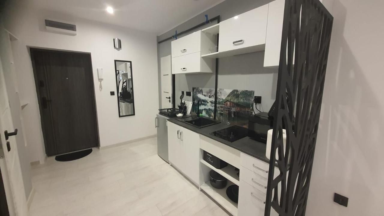 Komfortowy Apartament U Baltazara ดุสนิกิ สดรอย ภายนอก รูปภาพ